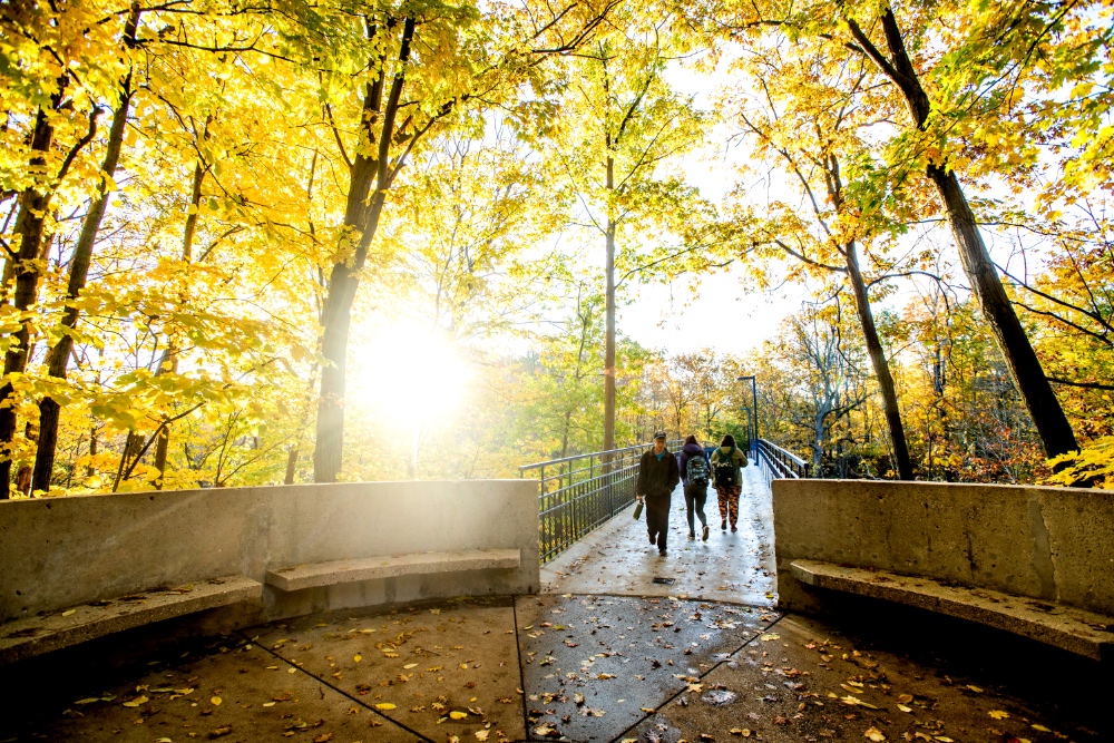 GVSU COMMENTS ON PROPOSED TITLE IX CHANGES